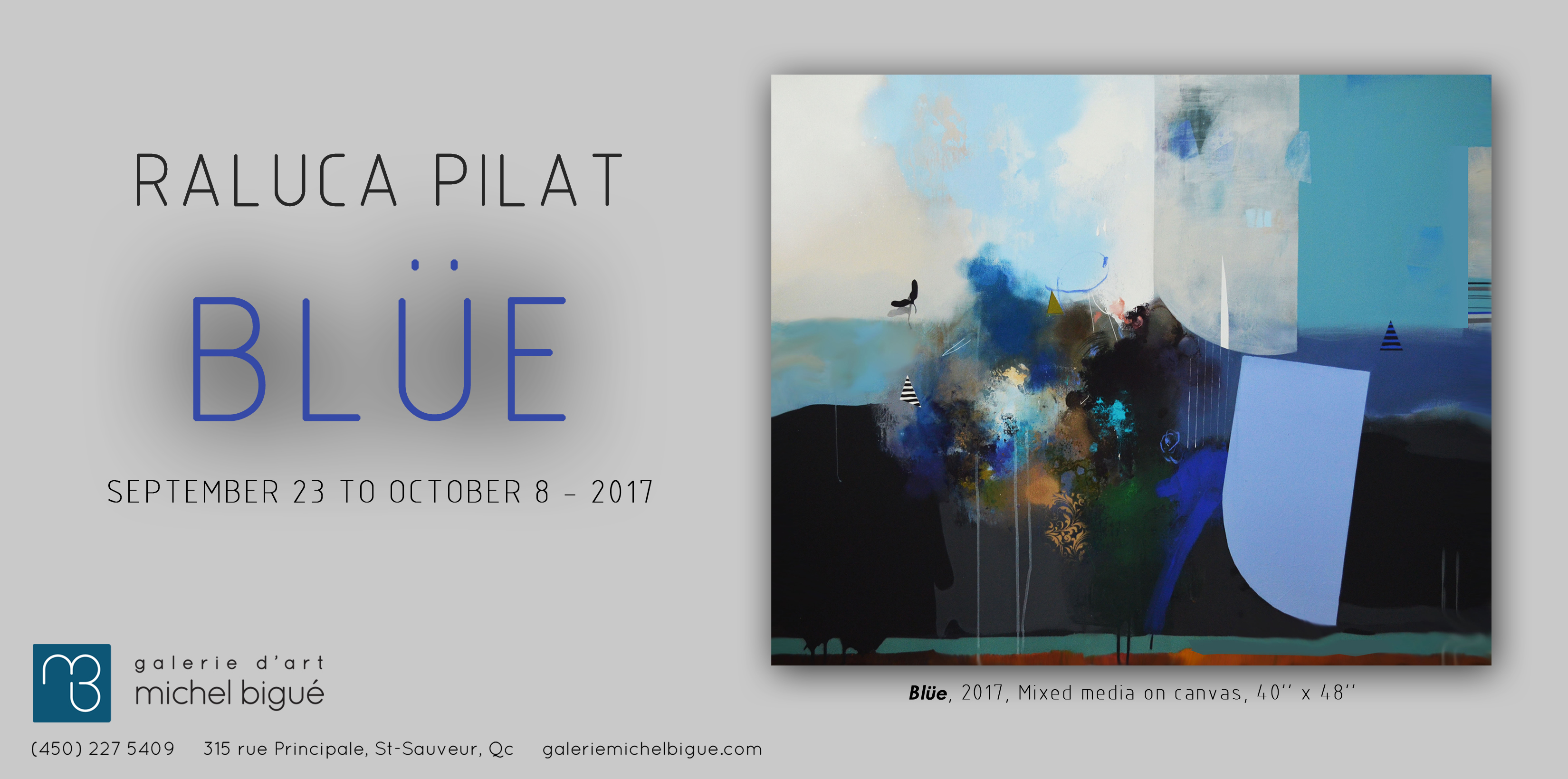 GET /exhibitions/raluca-pilat-bluee/