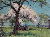 Apple orchard in bloom, Oil on panel, 12'' x 16''<span class="sold">sold</span>