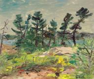 Early evening, Georgian Bay, Oil on panel, 20'' x 24''<span class="sold">sold</span>