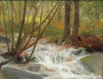 Forest rapid, 1893, Huile sur toile, 14'' x 18''<span class="sold">vendu</span>