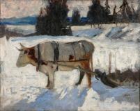 Ox in snow, Huile sur toile, 23'' x 29''<span class="sold">vendu</span>