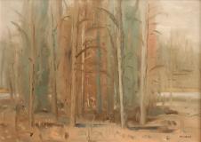 Forest, Oil on panel, 20'' x 28''<span class="sold">sold</span>