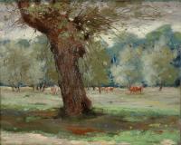 The pasture, Huile sur toile, 16'' x 20''<span class="sold">vendu</span>