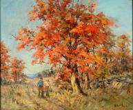 The red maple, Oil on panel, 21¼'' x 25¼''<span class="sold">sold</span>